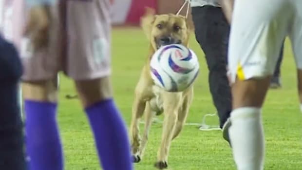Perro invade partido entre Oaxaca y Sinaloa en un monento que se hizo viral